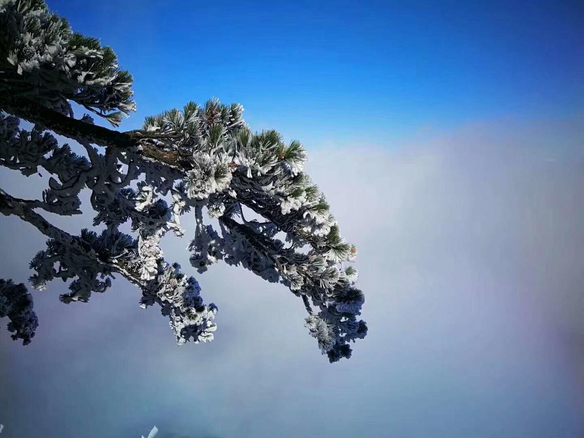 Joymoon Hotel Huang Shan Buitenkant foto